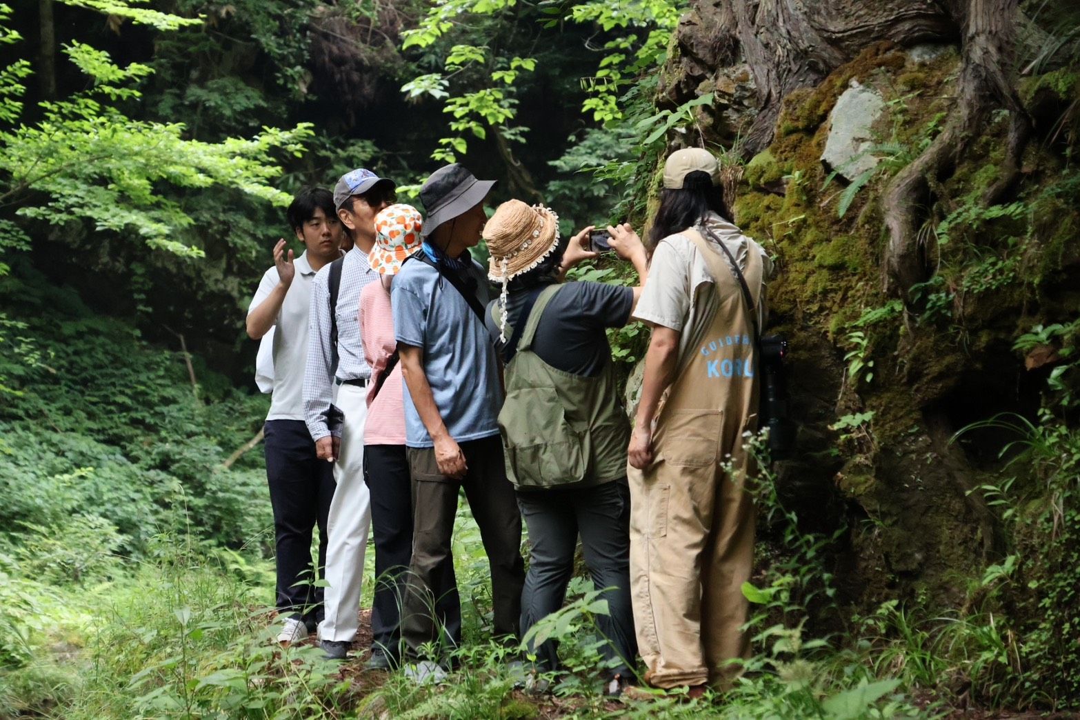 ガイドが苔むした岩の生き物を指し、参加者がのぞき込む様子
